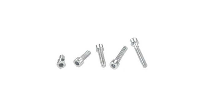 TORNILLO TIPO BRISTOL CON CABEZA M5x10 Paquete x 10