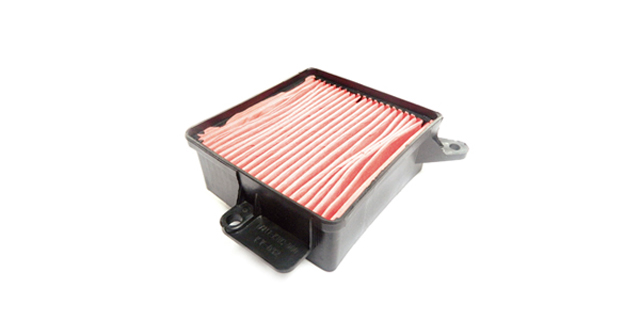 Filtro Aire Agility 125 (216022)